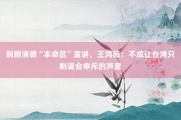 到赖清德“本命区”宣讲，王鸿薇：不成让台湾只剩误会申斥的声息